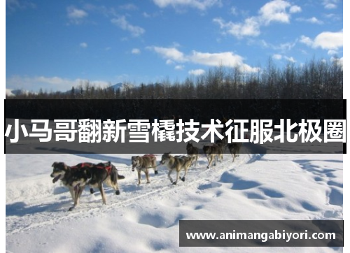 小马哥翻新雪橇技术征服北极圈