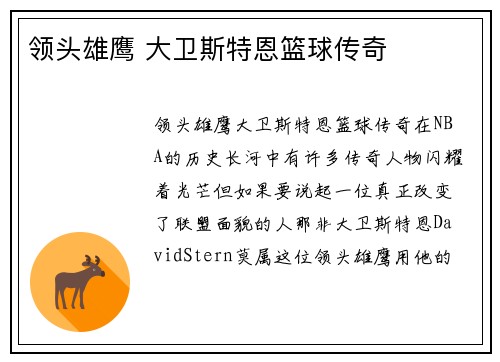 领头雄鹰 大卫斯特恩篮球传奇