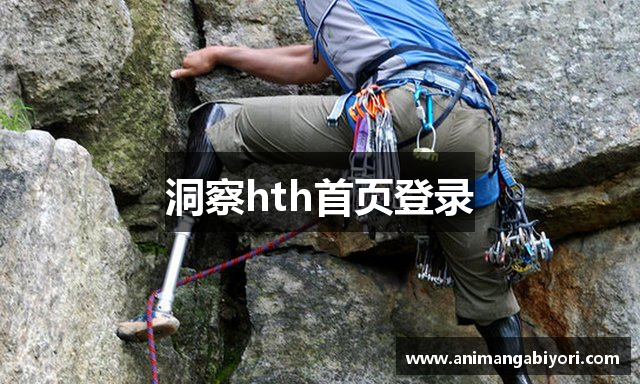 洞察hth首页登录
